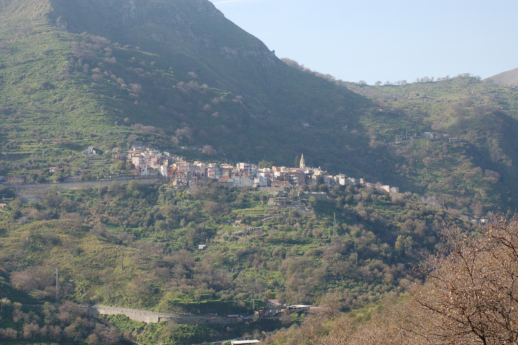 5 Le colline di Taormina:Aphyllophorales e molto altro